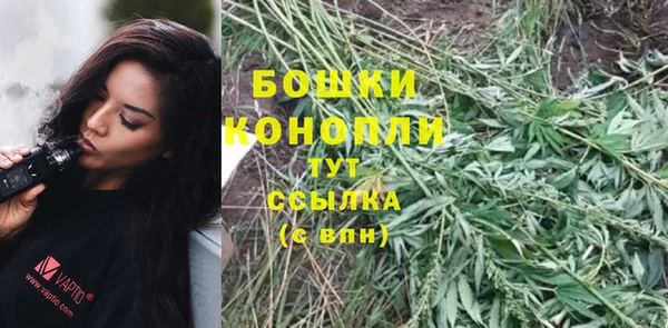 бошки Аркадак
