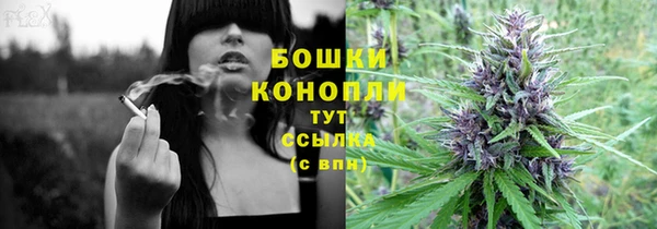бошки Аркадак